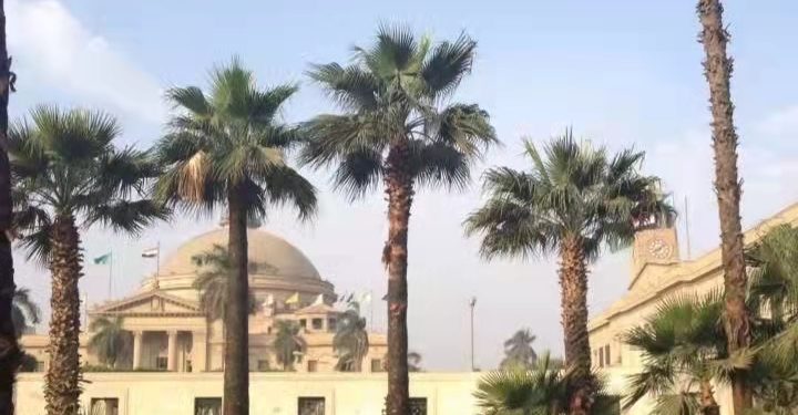 “一带一路”主题小说:我的阿拉伯