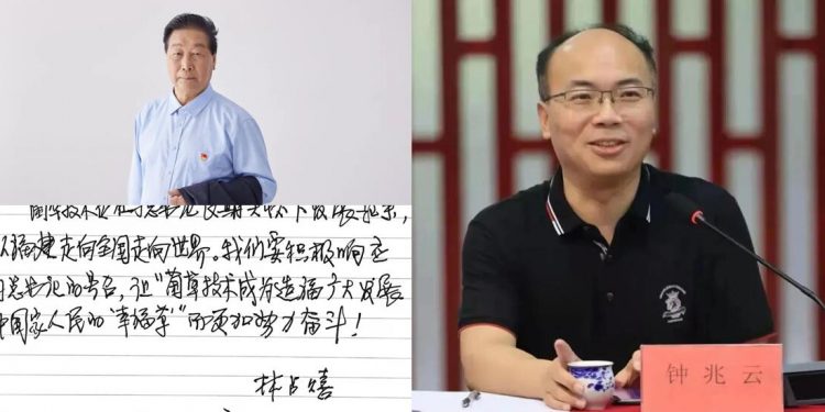 钟兆云:与草为伍(节选)