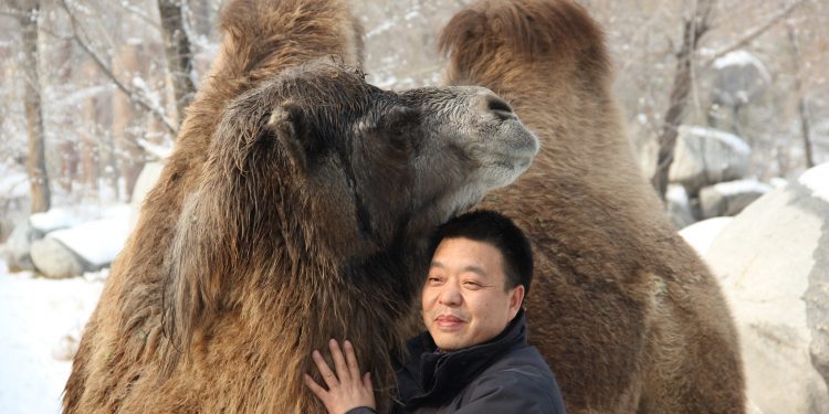 散文欣赏——王族:《烤羊肉串和烤包子》