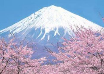 新世纪二十年日本文学回望