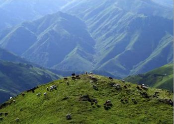 塔城将设立“丝绸之路”塔城文学馆 王蒙刘亮程等9名作家将入驻