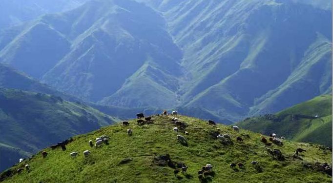 塔城将设立“丝绸之路”塔城文学馆 王蒙刘亮程等9名作家将入驻