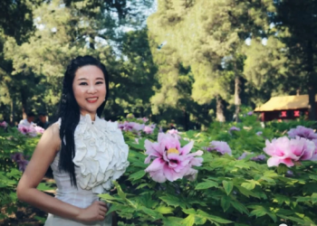 诗歌欣赏——刘雅阁：《站在北极望星空》《北极冰河大道》