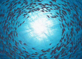 中国海洋文学的渊源